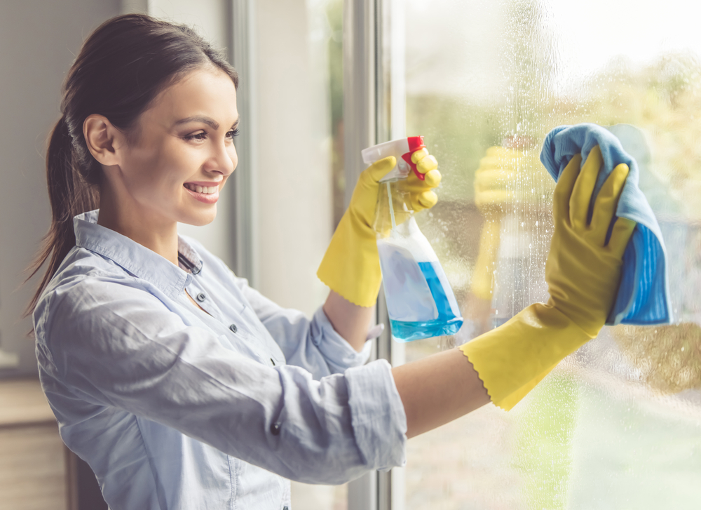 Professional Window cleaning service