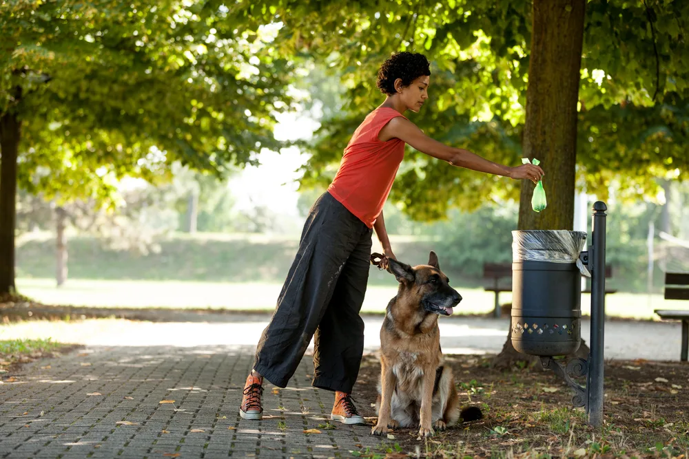 yard clean with our pooper scooper service