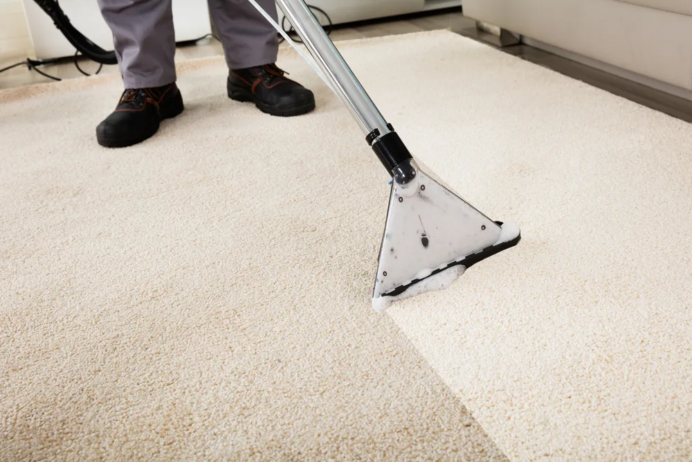 Professional Carpet Cleaners