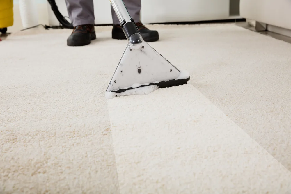 Carpet Cleaning Experts