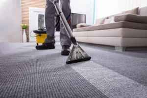 premium carpet cleaning services