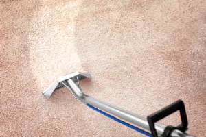 Unparalleled Carpet Cleaning in Dix Hills