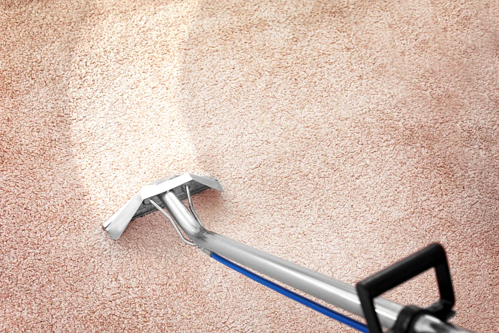 Unparalleled Carpet Cleaning in Dix Hills