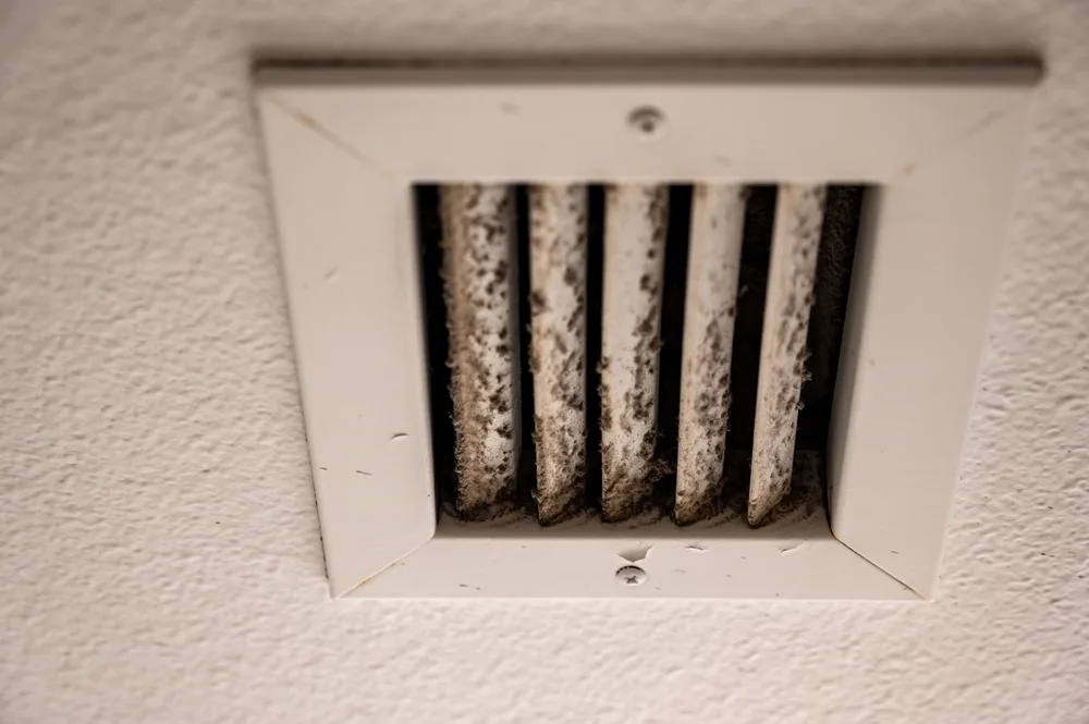 Expert Duct Cleaning Services in Dix Hills