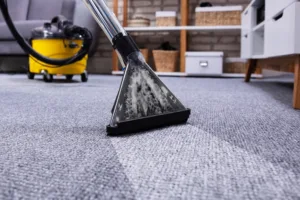 Premier Carpet Cleaning Services