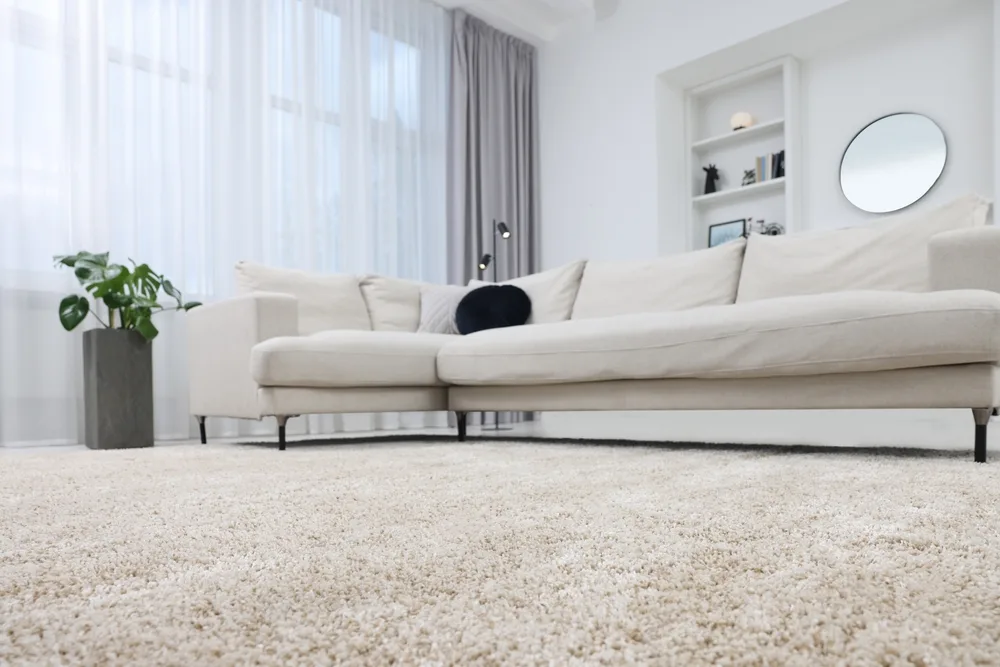 Unmatched Carpet Cleaning in Commack