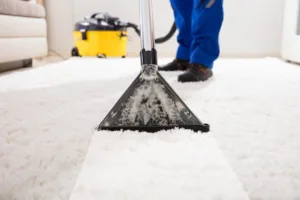 Carpet Cleaning Dix Hills