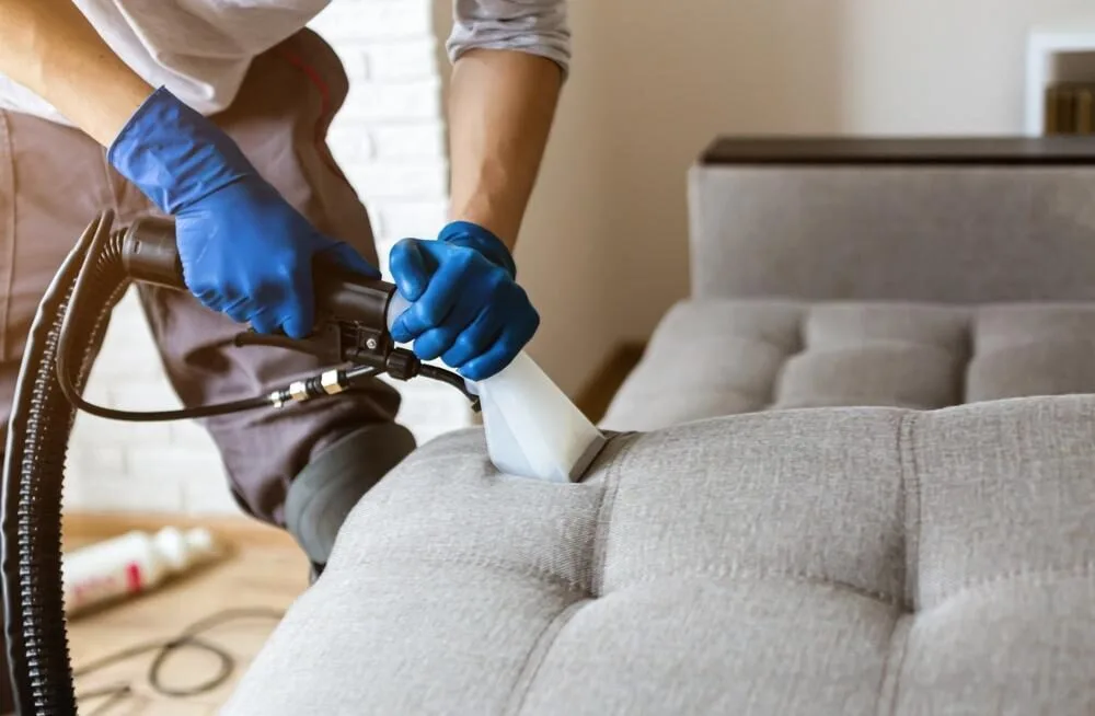 Upholstery Cleaning Long Island