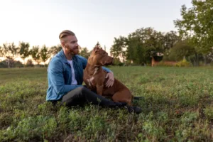 premium dog poop pickup service