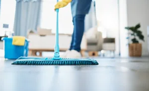 professional Home Cleaning Long Island