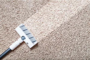 Carpet Cleaning Holbrook